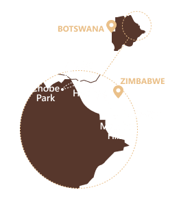 7N Zimbabwe & Botswana