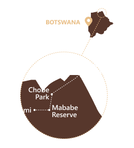 BOTSWANA 12J11N Chutes Victoria & safari Mobile Botswana