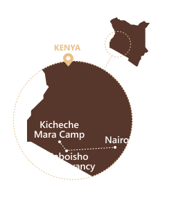KENYA 6J 5N Fly in safari Masai Mara