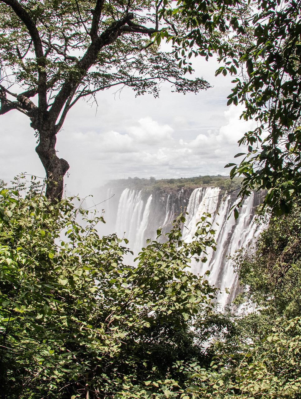 Victoria Falls Livingstone Nature Trees Old Zambia