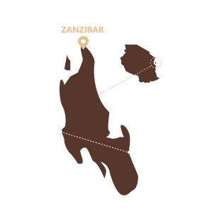 ZNZ 7J6N Kitesurf à Zanzibar
